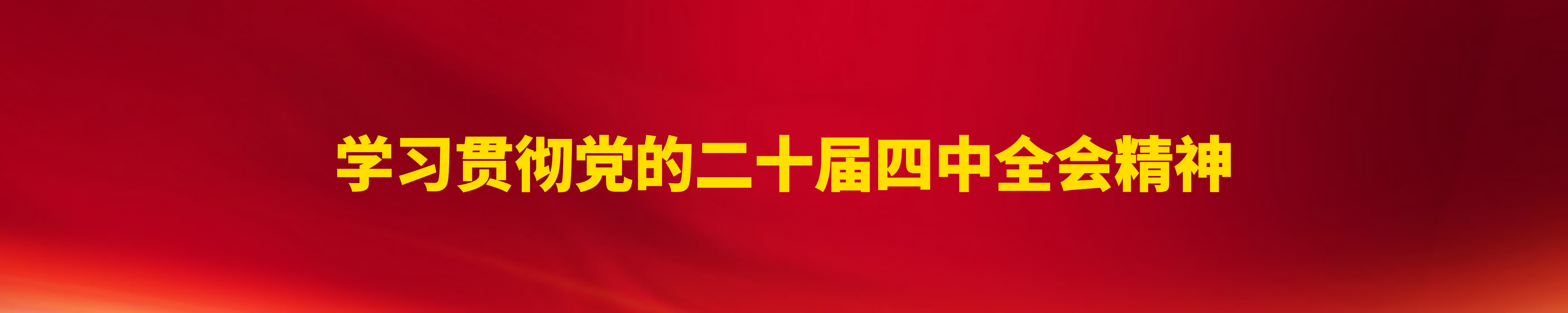 四中全会精神